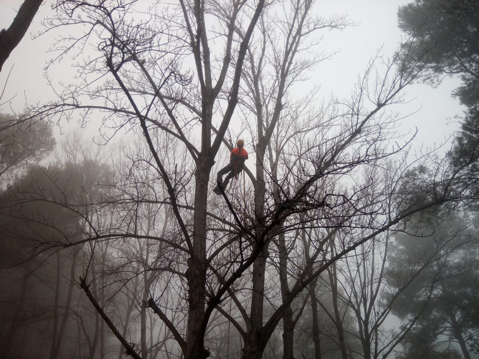 2021-02-25 11.05.39-1